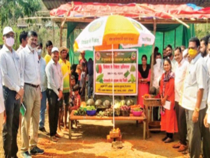Fresh vegetables will be available near the farm, Kalingad | शेताजवळच मिळणार ताजा भाजीपाला, कलिंगड Fresh vegetables will be available near the farm, Kalingad | शेताजवळच मिळणार ताजा भाजीपाला, कलिंगड