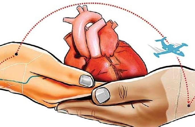 The heart went from Nagpur to Mumbai | मृत्यूनंतरही त्याने वाचवले चौघांचे प्राण! The heart went from Nagpur to Mumbai | मृत्यूनंतरही त्याने वाचवले चौघांचे प्राण!