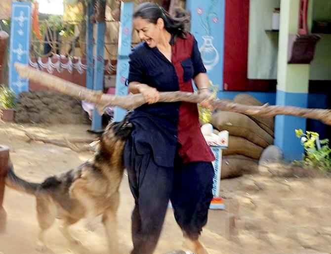 Shocking: A German Shepard breed dog shot for the shooting! | Shocking : शूटिंगसाठी आणलेल्या जर्मन शेपर्ड जातीच्या कुत्र्याने ‘या’ अभिनेत्रीवर केला हल्ला!