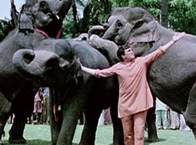 'Hathi My Partner' remake announced! Rajesh Khanna's role to make 'this' artist !! | झाली ‘हाथी मेरे साथी’च्या रिमेकची घोषणा! ‘हा’ कलाकार साकारणार राजेश खन्नांची भूमिका!! 'Hathi My Partner' remake announced! Rajesh Khanna's role to make 'this' artist !! | झाली ‘हाथी मेरे साथी’च्या रिमेकची घोषणा! ‘हा’ कलाकार साकारणार राजेश खन्नांची भूमिका!!