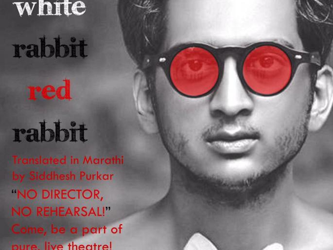 Amey Tiger will now be wearing rabbit | अमेय वाघ आता होणार ससा Amey Tiger will now be wearing rabbit | अमेय वाघ आता होणार ससा