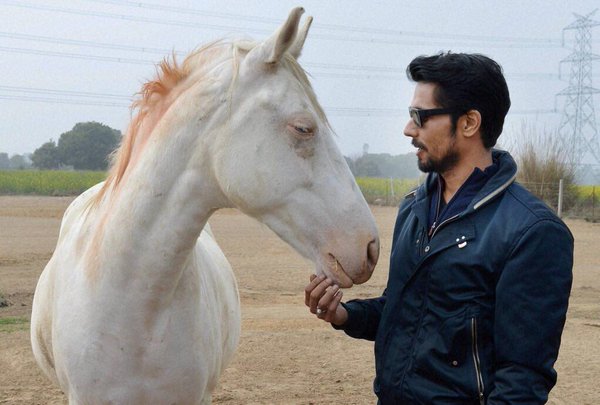 Randeep-Rajneesh's 'Horse Bending'! | रणदीप-राजनीशची ‘हॉर्स बाँण्डिंग’! Randeep-Rajneesh's 'Horse Bending'! | रणदीप-राजनीशची ‘हॉर्स बाँण्डिंग’!
