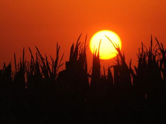 Why do the heat increase day by day? | दिवसापेक्षा रात्र झटपट गरमी का वाढते?