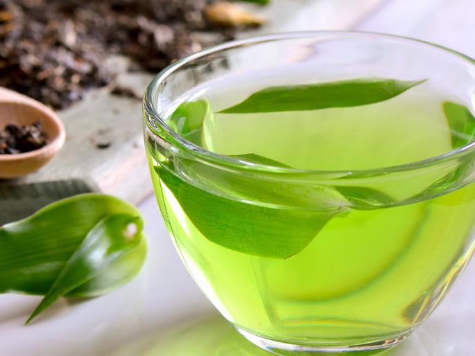 Adverse effects on green tea breeding capacity | ग्रीन टीचा प्रजनन क्षमतेवर प्रतिकूल परिणाम Adverse effects on green tea breeding capacity | ग्रीन टीचा प्रजनन क्षमतेवर प्रतिकूल परिणाम