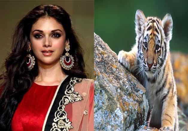 Aditi's 'Save Tiger' | आदितीचे 'सेव्ह टायगर'