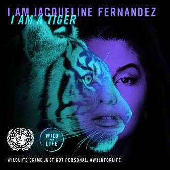 Jacqueline for wildlife protection !! | ​वन्यजीव संरक्षणासाठी सरसावली जॅकलीन!!