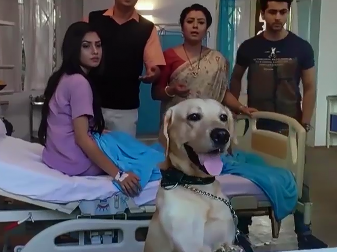 There was a crazy team that fell in love with a member of this series | एक दीवाना था या मालिकेची टीम पडली या सदस्याच्या प्रेमात There was a crazy team that fell in love with a member of this series | एक दीवाना था या मालिकेची टीम पडली या सदस्याच्या प्रेमात