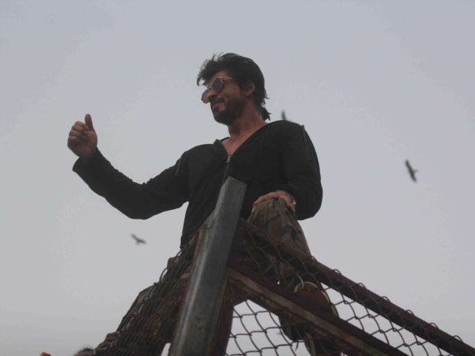Shahrukh Khan birthday celebration | shahrukh khan birthday celebration