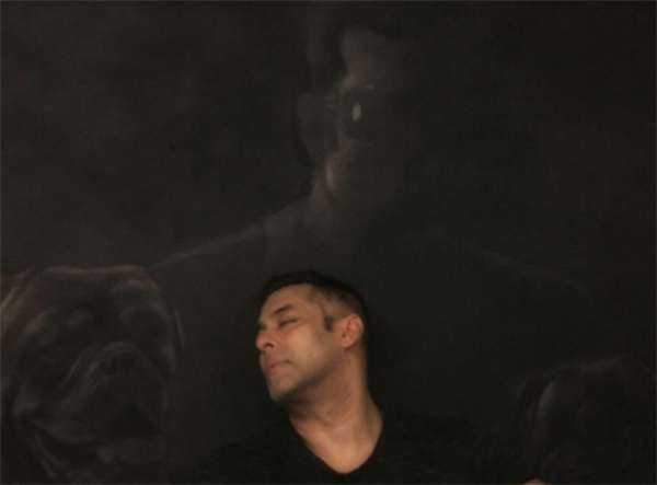 Salman's painting will be seen in the painting! | सलमानचे हे पेन्टिंग बघून व्हाल भावूक ! Salman's painting will be seen in the painting! | सलमानचे हे पेन्टिंग बघून व्हाल भावूक !