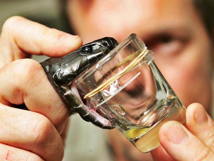 More effective and cheap antiseptic developed | अधिक प्रभावी व स्वस्त सर्पविषरोधी विकसित More effective and cheap antiseptic developed | अधिक प्रभावी व स्वस्त सर्पविषरोधी विकसित