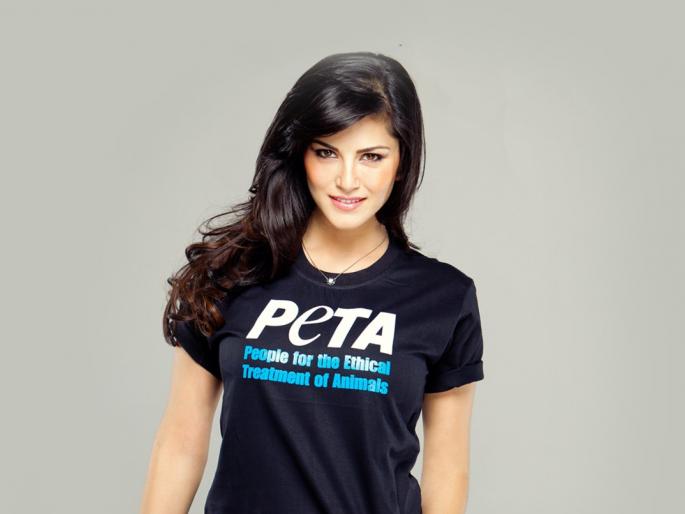'PETA Person of the Year' honored Sunny Leone | ‘पेटा पर्सन आॅफ द ईअर’ने सनी लिओन सन्मानित 'PETA Person of the Year' honored Sunny Leone | ‘पेटा पर्सन आॅफ द ईअर’ने सनी लिओन सन्मानित
