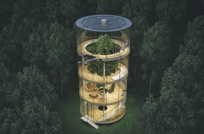 Have you ever seen such a tree house? | पाहिलयं का कधी असे ट्री-हाऊस? Have you ever seen such a tree house? | पाहिलयं का कधी असे ट्री-हाऊस?
