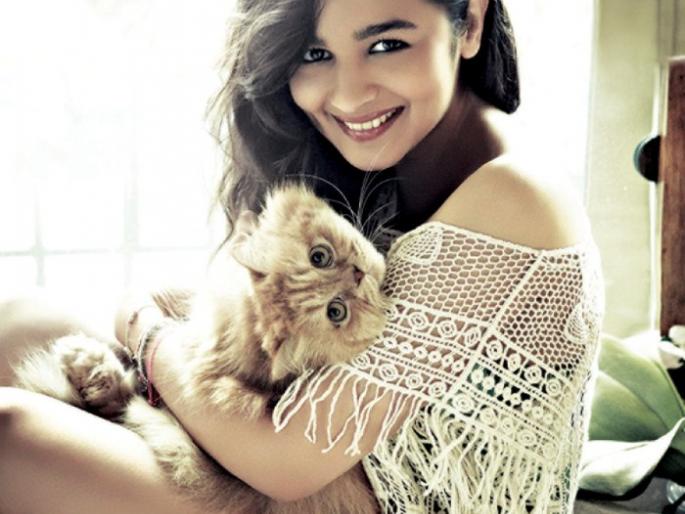 OMG: Alia Bhatt takes up the movie with three big banner! | OMG : आलिया भट्टच्या हाती लागले तीन मोठ्या बॅनरचे चित्रपट !