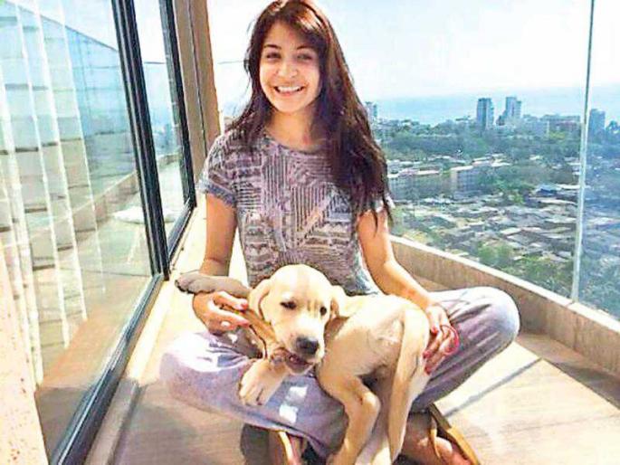 Anusha's Animal Love | अनुष्काचे अ‍ॅनिमल लव
