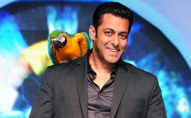 Big Boss does not have celebrity | बिग बॉसमध्ये सेलिब्रटीच नाही Big Boss does not have celebrity | बिग बॉसमध्ये सेलिब्रटीच नाही