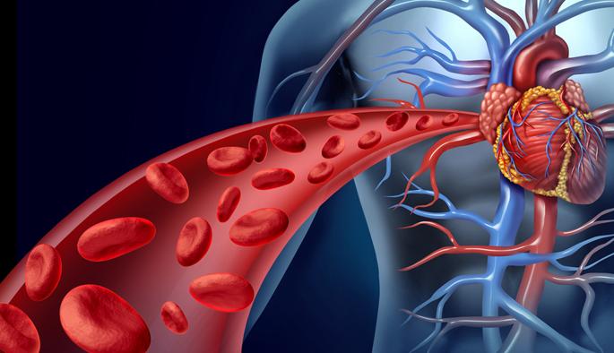 HEALTH: Increase blood circulation in just 10 minutes! | HEALTH : फक्त १० मिनीटात असे वाढवा ‘ब्लड सर्कुलेशन’ ! HEALTH: Increase blood circulation in just 10 minutes! | HEALTH : फक्त १० मिनीटात असे वाढवा ‘ब्लड सर्कुलेशन’ !