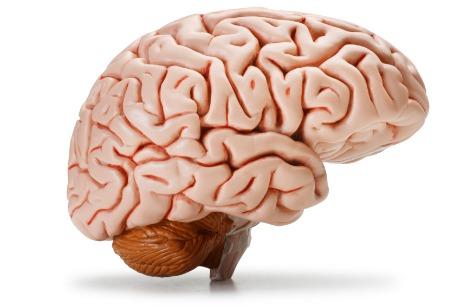 Increased brain age due to exercise | व्यायामामुळे वाढते मेंदूचे वय