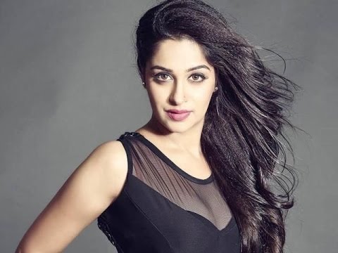 Debut is another Bollywood actress from Bollywood film 'Paltan' | 'पलटन' चित्रपटातून आणखीन एक टीव्ही अभिनेत्री करतेय बॉलिवूडमध्ये डेब्यू