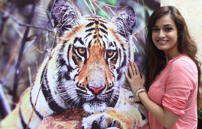 Diya Mirza will make 'Wagh Saveawa' movie on the subject | दीया मिर्जा बनविणार ‘वाघ वाचवा’ विषयावर चित्रपट Diya Mirza will make 'Wagh Saveawa' movie on the subject | दीया मिर्जा बनविणार ‘वाघ वाचवा’ विषयावर चित्रपट