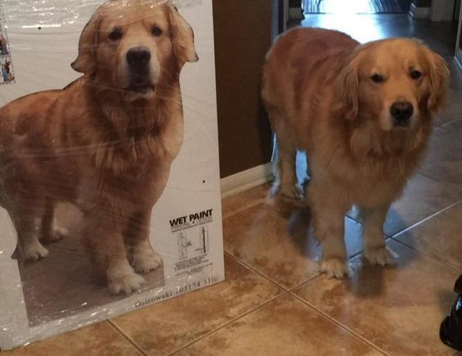 Mother gave 'Unique' Gift | ​आईने दिले मुलाला ‘अनोखे’ गिफ्ट