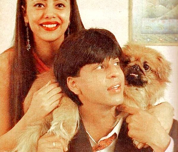 Gauri Khan shared an old photo with Shah Rukh Khan | गौरी खानने शाहरुख खानसोबतचा जुना फोटो शेअर करत दिला आठवणींना उजाळा Gauri Khan shared an old photo with Shah Rukh Khan | गौरी खानने शाहरुख खानसोबतचा जुना फोटो शेअर करत दिला आठवणींना उजाळा