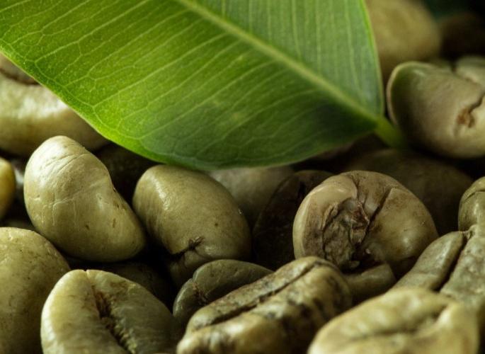 HEALTH: Know the Benefits of Green Coffee! | HEALTH : जाणून घ्या ‘ग्रीन कॉफी’चे आश्चर्यकारक फायदे ! HEALTH: Know the Benefits of Green Coffee! | HEALTH : जाणून घ्या ‘ग्रीन कॉफी’चे आश्चर्यकारक फायदे !
