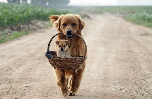 Five Ways to Help Others | इतरांना मदत करण्याचे पाच मार्ग