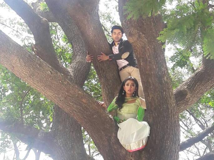 Barkha Singh made a stunt in Jat's Jugni | जाट की जुगनीमध्ये बरखा सिंगने केला स्टंट Barkha Singh made a stunt in Jat's Jugni | जाट की जुगनीमध्ये बरखा सिंगने केला स्टंट