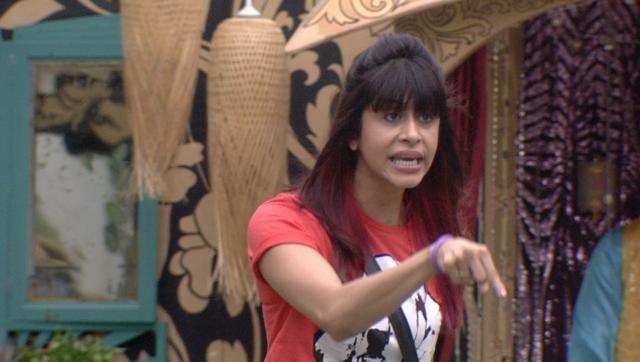 Celebrity in big boss | सेलिब्रिटी इन बिग बॉस Celebrity in big boss | सेलिब्रिटी इन बिग बॉस