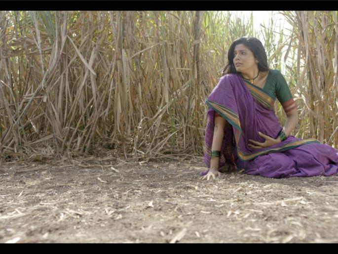 50 days of LPP | ​लपाछपीचे नाबाद ५० दिवस