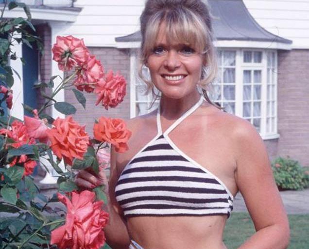 Honor of pornstar | पॉर्नस्टारचा सन्मान