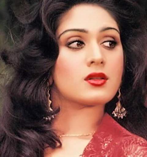 See now how Dumini's film heroine Minakshi Shakhdhari looks | पाहा आता कशी दिसते दामिनी या चित्रपटाची नायिका मिनाक्षी शेक्षाद्री See now how Dumini's film heroine Minakshi Shakhdhari looks | पाहा आता कशी दिसते दामिनी या चित्रपटाची नायिका मिनाक्षी शेक्षाद्री