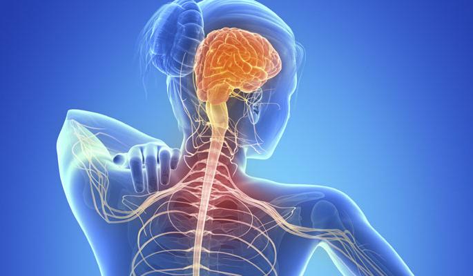 Modern Treatment on 'Multiple Sclerosis' | ​‘मल्टिपल स्क्लेरोसिस’वर आधूनिक ईलाज