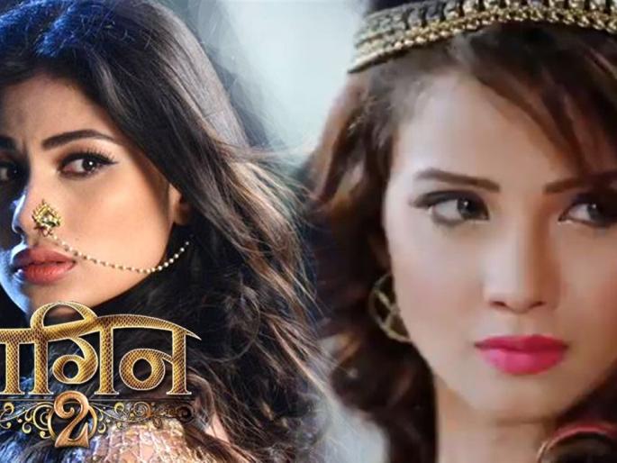 The magic of 'Nagin 2' continued on the small screen | छोट्या पडद्यावर 'नागिन 2'ची जादू कायम The magic of 'Nagin 2' continued on the small screen | छोट्या पडद्यावर 'नागिन 2'ची जादू कायम