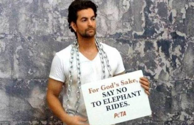 Avoid elephants for Safari - Neil Nitin Mukesh | ​सफारीसाठी हत्तींचा वापर टाळा- नील नितिन मुकेश