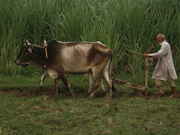 Dangerous in 2040? | 2040 मध्ये महाभुखमरी?