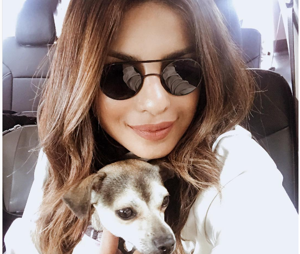 Priyanka Chopra caused this troll to install on Instagram | प्रियांका चोप्रा झाली या गोष्टीमुळे इन्स्टाग्रामवर ट्रोल Priyanka Chopra caused this troll to install on Instagram | प्रियांका चोप्रा झाली या गोष्टीमुळे इन्स्टाग्रामवर ट्रोल