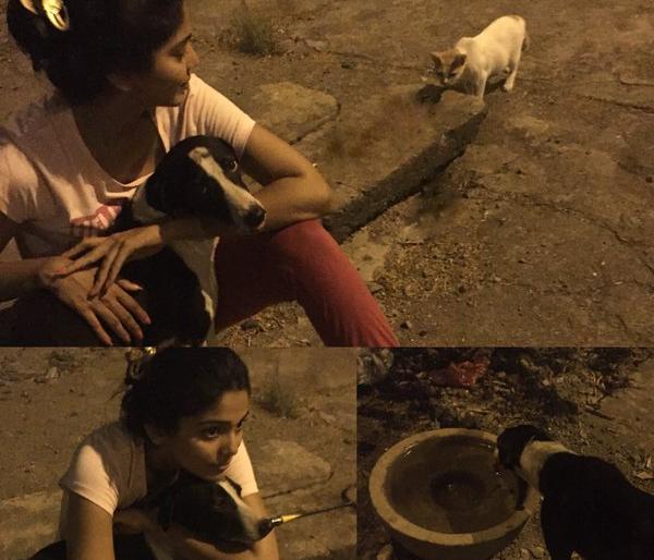 Pooja's Animal Love | पुजाचे अ‍ॅनिमल लव