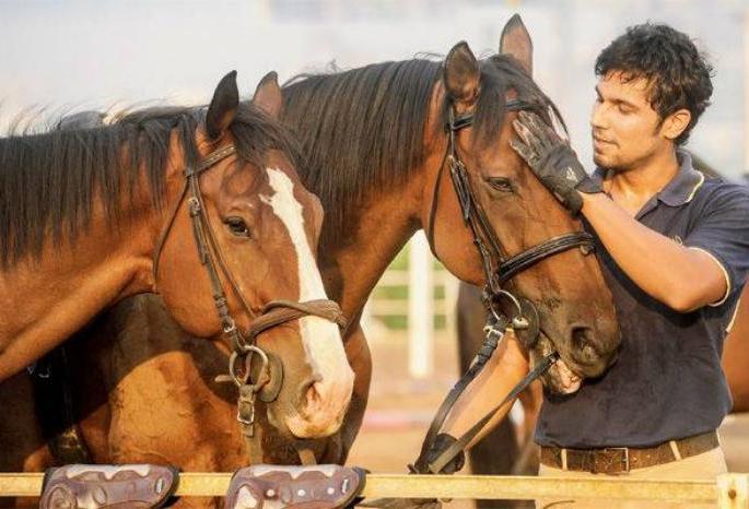 Randeep Hood saved the life of the horse | रणदीप हुडाने वाचवले ‘त्या’ घोड्याचे प्राण Randeep Hood saved the life of the horse | रणदीप हुडाने वाचवले ‘त्या’ घोड्याचे प्राण