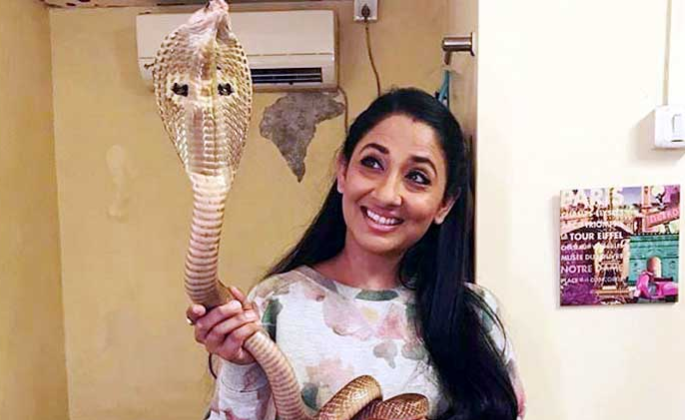 Shocking: The reason behind the arrest of TV actress Shruti Ulfta was arrested | Shocking: टीव्ही अभिनेत्री श्रृति उल्फतला झाली या कारणामुळे अटक Shocking: The reason behind the arrest of TV actress Shruti Ulfta was arrested | Shocking: टीव्ही अभिनेत्री श्रृति उल्फतला झाली या कारणामुळे अटक