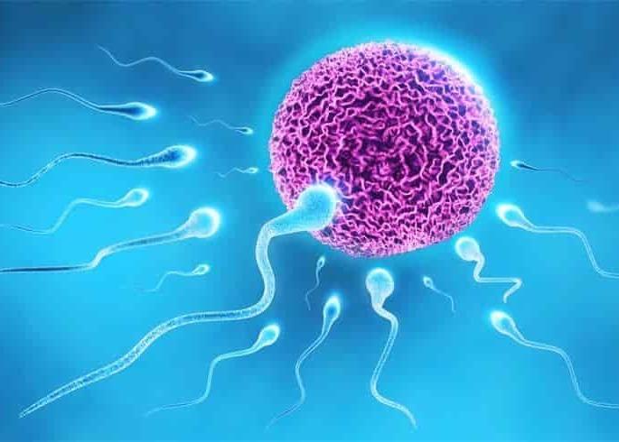 Health Alert: Smarrup Go to Donor? Pay attention to these things before that! | Health Alert : ​स्मर्प डोनरकडे जाताय? त्यापुर्वी या गोष्टींकडे लक्ष द्या !