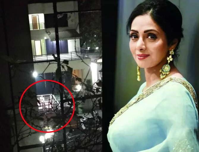This place will be placed in the place of Goddess Sridevi; The funeral is complete! | ‘या’ ठिकाणी ठेवले जाईल श्रीदेवी यांचे पार्थिव; अंत्यविधीची तयारी पूर्ण! This place will be placed in the place of Goddess Sridevi; The funeral is complete! | ‘या’ ठिकाणी ठेवले जाईल श्रीदेवी यांचे पार्थिव; अंत्यविधीची तयारी पूर्ण!