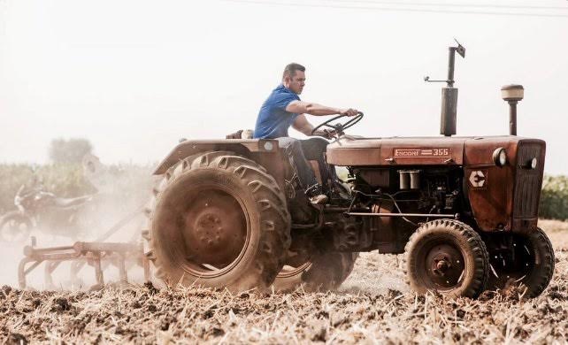 Dabangagiri in the field! | शेतात दबंगगिरी ! Dabangagiri in the field! | शेतात दबंगगिरी !