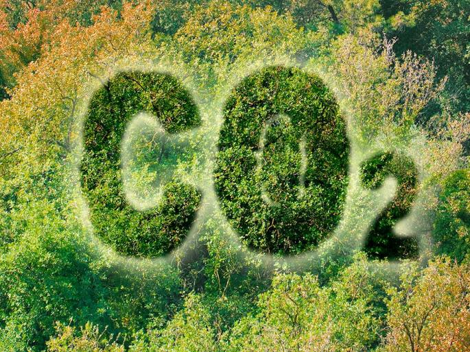 Shocking revelation! Trees, land, oceans stopped absorbing carbon dioxide; The harbinger of a crisis... | धक्कादायक खुलासा! वृक्ष, जमीन, समुद्राने कार्बन डाय ऑक्साईड शोषून घेणे थांबविले; कोणत्या संकटाची चाहूल... Shocking revelation! Trees, land, oceans stopped absorbing carbon dioxide; The harbinger of a crisis... | धक्कादायक खुलासा! वृक्ष, जमीन, समुद्राने कार्बन डाय ऑक्साईड शोषून घेणे थांबविले; कोणत्या संकटाची चाहूल...