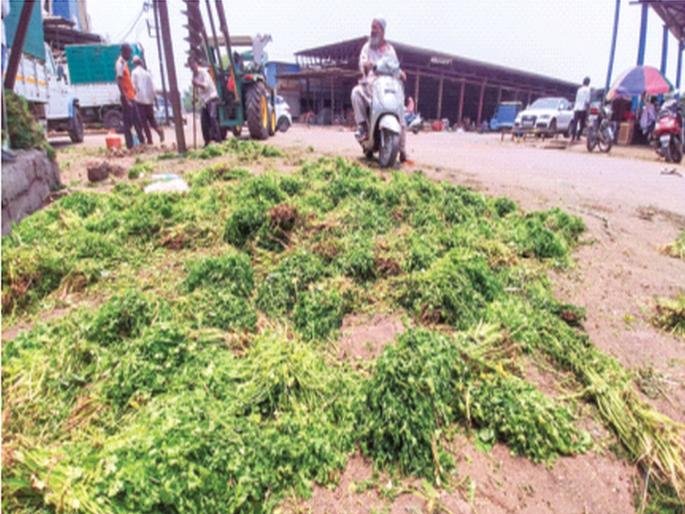 Due to the increase in the arrival of coriander, the farmers are worried about not getting the price | ‘हिरवा’ चिखल..! घ्यारे कोथिंबीर... कशाला विकत, घेऊन जा फुकट! Due to the increase in the arrival of coriander, the farmers are worried about not getting the price | ‘हिरवा’ चिखल..! घ्यारे कोथिंबीर... कशाला विकत, घेऊन जा फुकट!