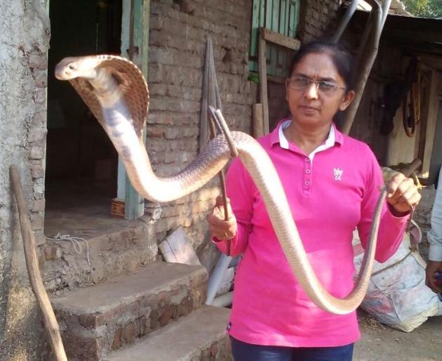 Nagoba Pujan on the occasion of Nagpanchami | नागपंचमीनिमित्त नागोबा पूजन Nagoba Pujan on the occasion of Nagpanchami | नागपंचमीनिमित्त नागोबा पूजन