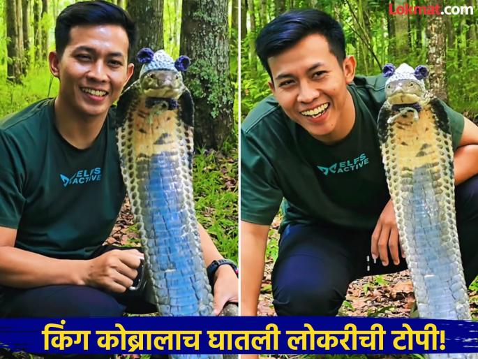 Viral Video the young man puts a woolen hat on a King Cobra playing like friends | Viral Video : पठ्ठ्याने चक्क किंग कोब्रालाच घातली लोकरीची टोपी! खेळतोय तर असा जणू... Viral Video the young man puts a woolen hat on a King Cobra playing like friends | Viral Video : पठ्ठ्याने चक्क किंग कोब्रालाच घातली लोकरीची टोपी! खेळतोय तर असा जणू...