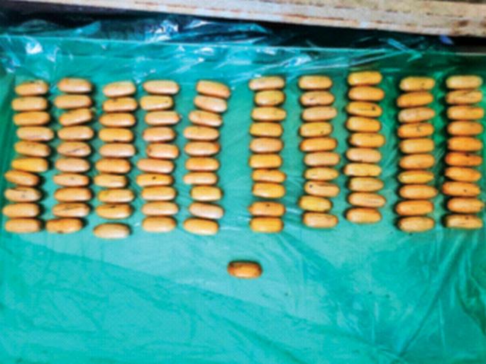 Cocaine worth 70 crore seized in Mumbai | मुंबईत पकडले ७० कोटींचे कोकेन; चार वेगवेगळी प्रकरणे... Cocaine worth 70 crore seized in Mumbai | मुंबईत पकडले ७० कोटींचे कोकेन; चार वेगवेगळी प्रकरणे...