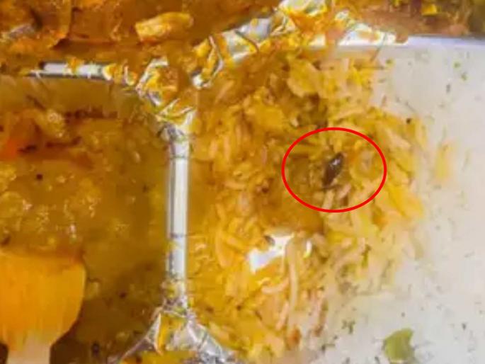 Insects, flies, cockroaches in train food 6,948 passenger complaints against catering services, a 500 percent increase | रेल्वेच्या जेवणात किडे, झुरळे! कॅटरिंग सेवेविरोधात प्रवाशांच्या ६,९४८ तक्रारी, ५०० टक्के वाढ Insects, flies, cockroaches in train food 6,948 passenger complaints against catering services, a 500 percent increase | रेल्वेच्या जेवणात किडे, झुरळे! कॅटरिंग सेवेविरोधात प्रवाशांच्या ६,९४८ तक्रारी, ५०० टक्के वाढ