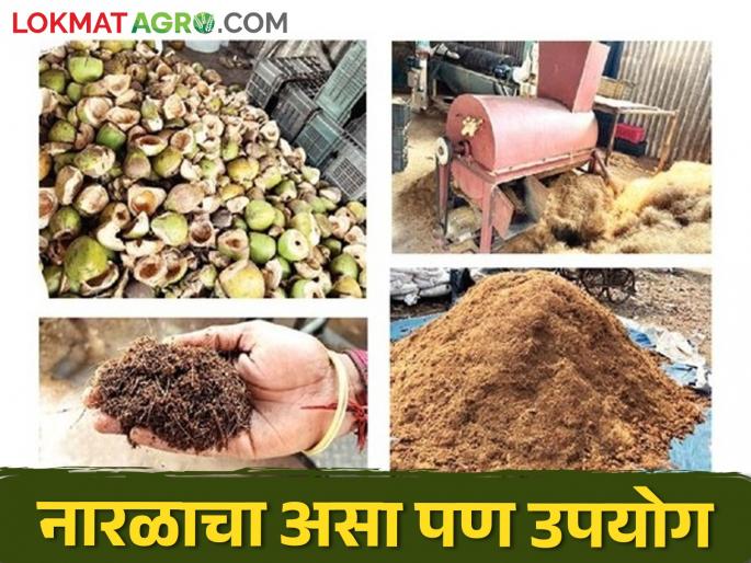 This Mahapalika is making agricultural useful products from empty water coconuts | रिकाम्या पाण्याच्या नारळापासून ही महापालिका बनवतेय शेती उपयोगी उत्पादने